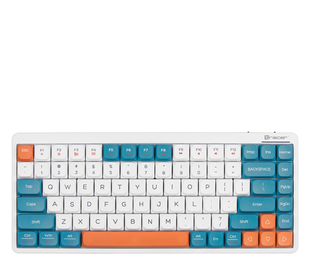TRACER FINA 84 White/Blue TRAKLA47309 - 1235812 - zdjęcie 3